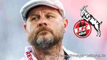 Baumgart verlängert in Köln bis 2024