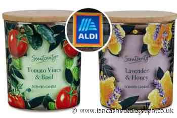 Aldi launches fruit and veg inspired candle to celebrate summer produce – see the scents