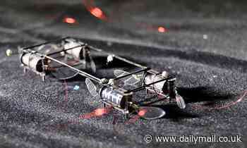 MIT scientists create robotic FIREFLIES that could help search-and-rescue missions 