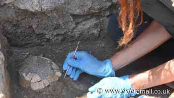 Remains of pregnant tortoise shed light on Pompeii’s destruction