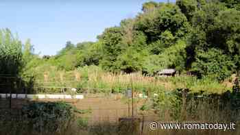 Fosso delle Campanelle: cresce il fronte del no al progetto di riqualificazione