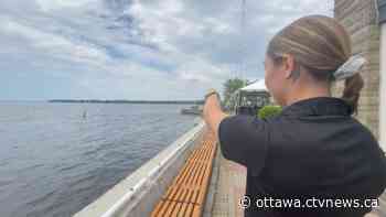 Good Samaritan helps paddlers in distress on the Ottawa River - CTV News Ottawa