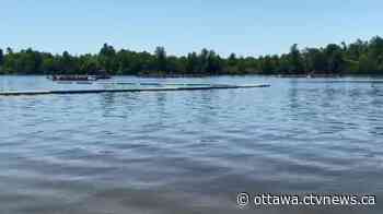 Ottawa comes to life for a weekend of festivals - CTV News Ottawa