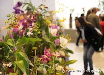 CIDADE EM MOVIMENTO: 50ª Exposição Nacional de Orquídeas será de 1 a 3 de julho em Assis - Prefeitura de Assis (.gov)