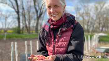plan b: Essen für alle - zdf.de