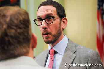 More Screeching Hyperbole from Sen. Scott Wiener About SCOTUS Abortion Decision - California Globe