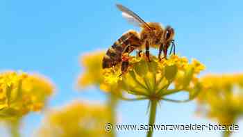 Bezirksimkerverein Nagold: Imker weihen neuen Lehrbienenstand ein