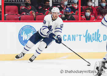 Maple Leafs' Michael Bunting: Not Someone to Bet Against - The Hockey Writers