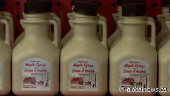 Expert says climate change affecting maple syrup production - Global News