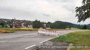 Amphibientunnel Holzbronn - Sperrung für Kröten? Es geht auch um Menschenleben - Schwarzwälder Bote