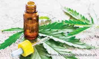 Government urged to support and grow the cannabis industry