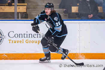 Ottawa Senators Do Not Draft List for the 7th-Overall Pick - The Hockey Writers