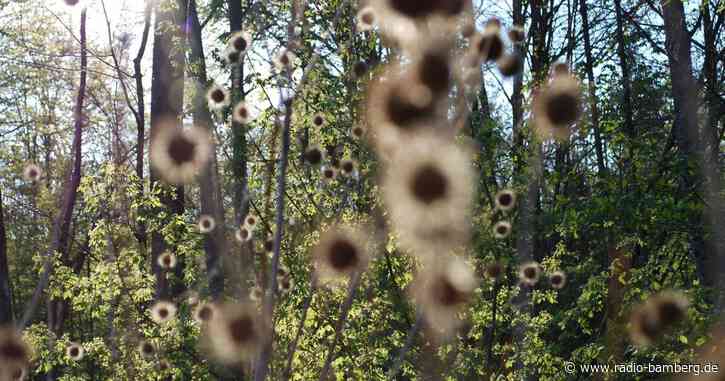 Forstleute fordern mehr Personal für Waldumbau