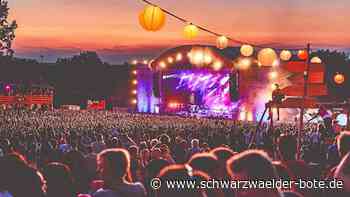 Alle Künstler stehen fest: Seeed ist Headliner bei Happiness Festival in Straubenhardt