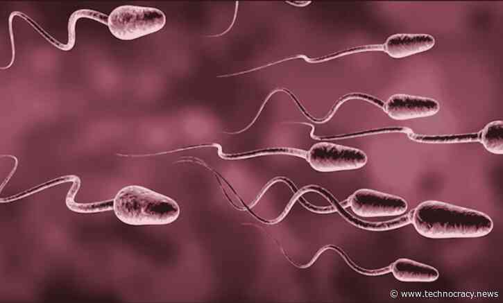 Study: Male Fertility Tanks 15.4% After mRNA Injections