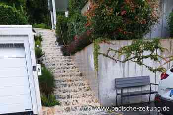 Feuerwehr Steinen hatte 2021 so viele Einsätze wie nie - Steinen - Badische Zeitung