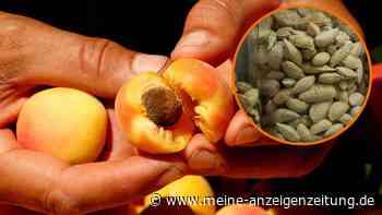 Rückruf: Hersteller warnt bei einem Snack vor dramatischen Folgen