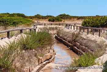 “C'era una volta la Salina dei Monaci di Bevagna” - La Voce di Manduria
