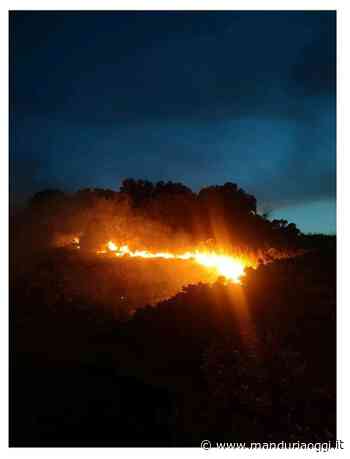 MANDURIA - Confcommercio sui due incendi che hanno interessato negli ultimi giorni Manduria: «Comuni e privati per la cura del territorio» - ManduriaOggi