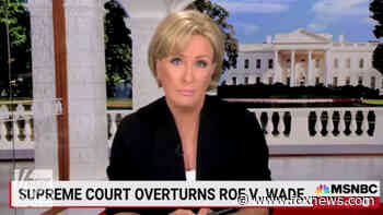 MSNBC's Brzezinski pleads with viewers to vote for Democrats: They 'just may save our country'