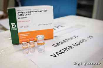 Garanhuns inicia aplicação da 4ª dose contra a Covid-19 para pessoas a partir de 40 anos - Globo