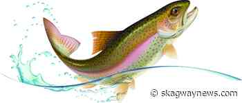 Fish This - A Yukon lake trout mystery - Skagwaynews