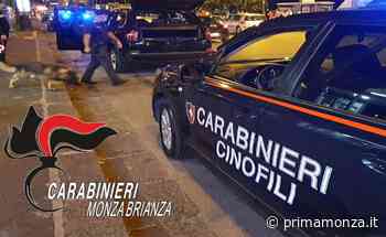 Nottata di controlli speciali a Vimercate: un minorenne denunciato e quattro segnalati - Prima Monza