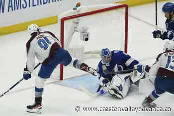 NHL officiating back under microscope in Stanley Cup Final - Creston Valley Advance