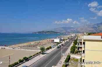 Minturno / Piantumazione di nuovi alberi, per una città più green: al via due progetti - Temporeale Quotidiano