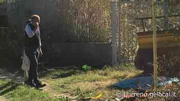 Ucciso dal mezzo agricolo, il teste: «Operai non formati» - Il Tirreno