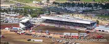 Une bénévole meurt piétinée par plusieurs chevaux en Alberta