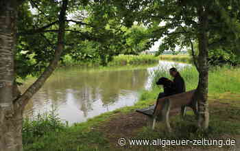 Naturschutzgebiet Benninger Ried: Wie die Stadt Memmingen, der Landkreis Unterallgäu und die Regierung von Schwaben das Naturerbe bewahren wollen - Allgäuer Zeitung