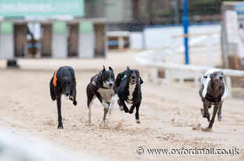 PETA says majority of Oxfordshire against greyhound racing