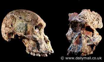 Fossils in the 'Cradle of Humankind' are one MILLION years older than previously thought