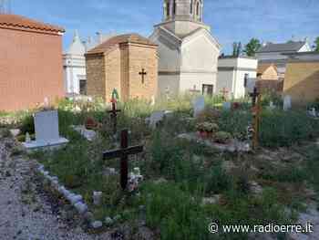 Uno stato di degrado incommentabile al cimitero comunale di Porto Recanati - Radio Erre