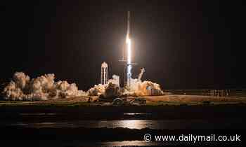 SpaceX and Virgin Galactic space ships could destroy the Ozone layer again