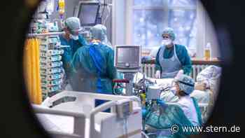 Arbeitsmarkt: Mehr Personal im Öffentlichen Dienst - STERN.de