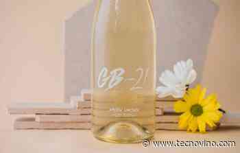 GB-21 de Jean Leon, experimental, efímero y artesanal - Tecnovino.com