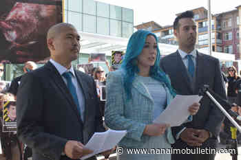 Crown says 3 accused placed hidden cameras on Abbotsford hog farm weeks before protest