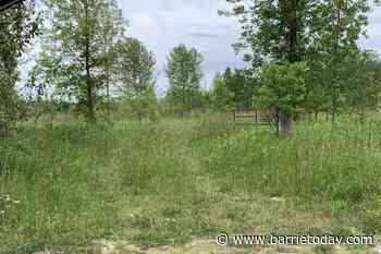 Developer pitches 'estate-style' project in Midhurst - BarrieToday