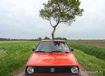 De Reizende Boom komt naar Tilburg - indebuurt