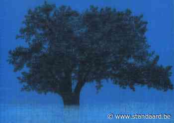 Het appel van de boom - De Standaard
