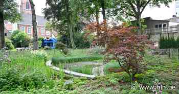 Geen kandidaten voor zomerbar in tuin van dekenij - Het Laatste Nieuws