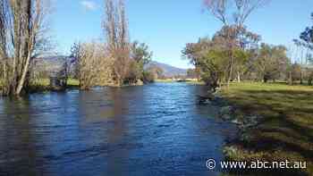 As Snowy Hydro ramps up production amid power crisis, nearby farmers fear discharge flooding