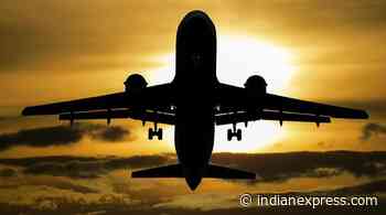 Aviation experts share measures to avert bird hits; what passengers, pilots can do in an emergency - The Indian Express