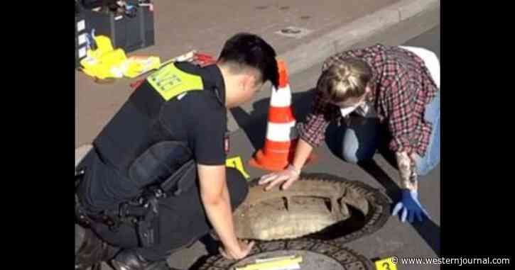 A 'Faint Whimpering' from the Sewers Halted a Weeklong Search for an 8-Year-Old Boy