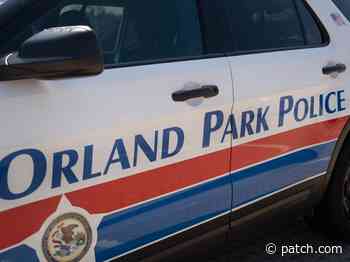 2 Members Of Organized Crime Ring Caught After Orland Park Hit: OPPD - Patch