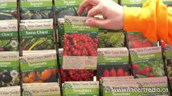 GET FREE SEEDS IN CALGARY! - iHeartRadio.ca