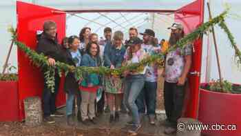 Urban farm in the middle of Calgary industrial area celebrates milestone - CBC.ca