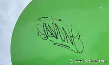 'Vulgar and racist': graffiti found on playground equipment at several Alliston parks - simcoe.com